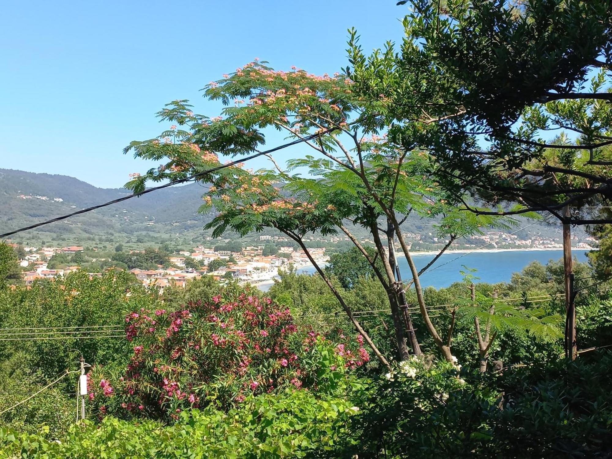Villa Dimitra Скала-Потамьяс Екстер'єр фото