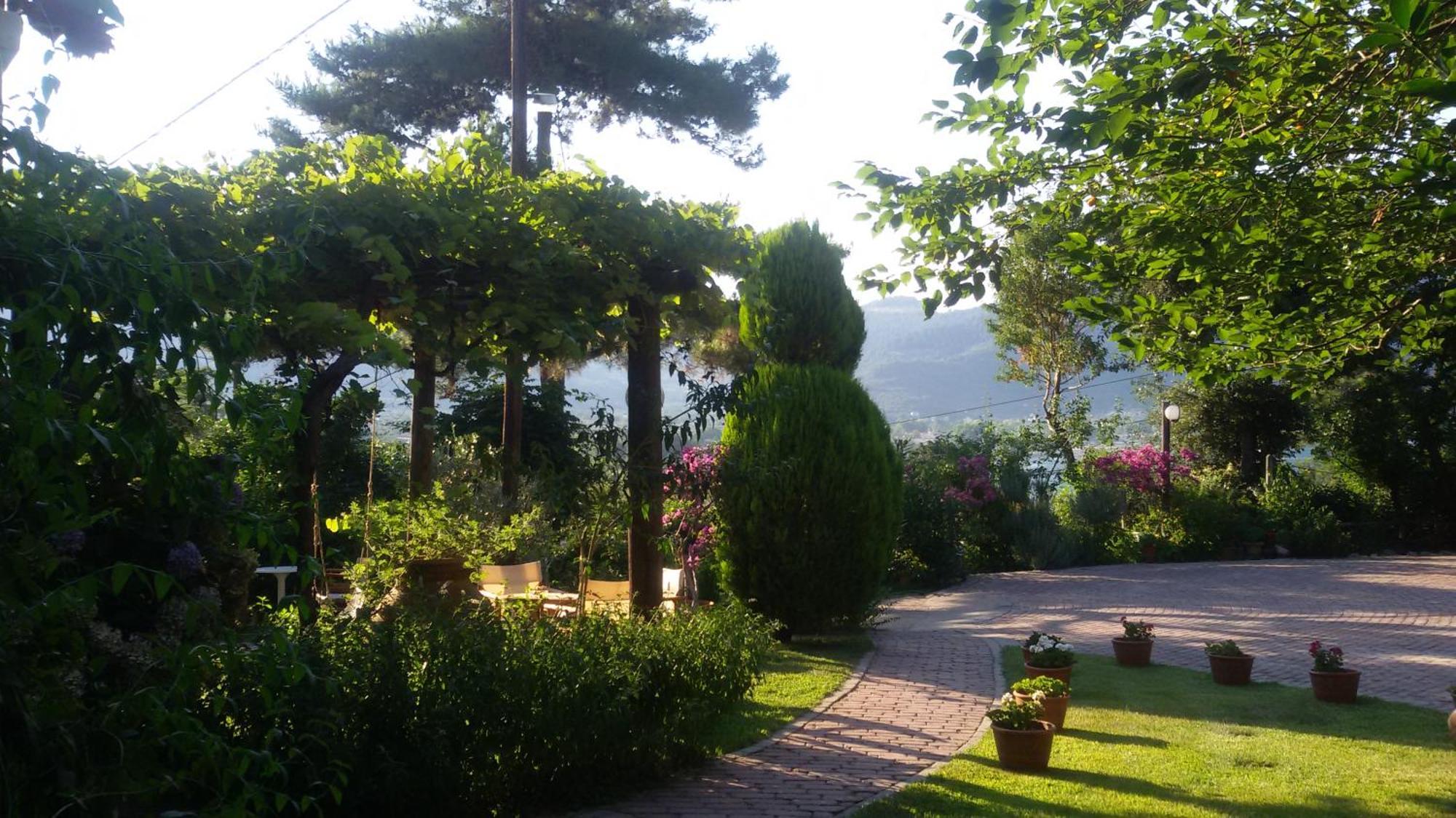 Villa Dimitra Скала-Потамьяс Екстер'єр фото